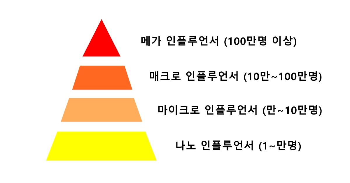 인플루언서 구분